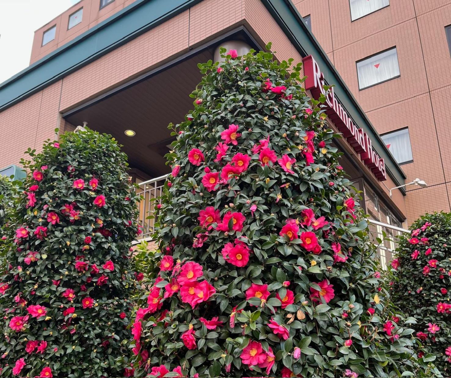 Richmond Hotel Tokyo Musashino Ngoại thất bức ảnh